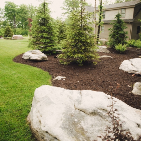 Greenscapes - Lawn Photo