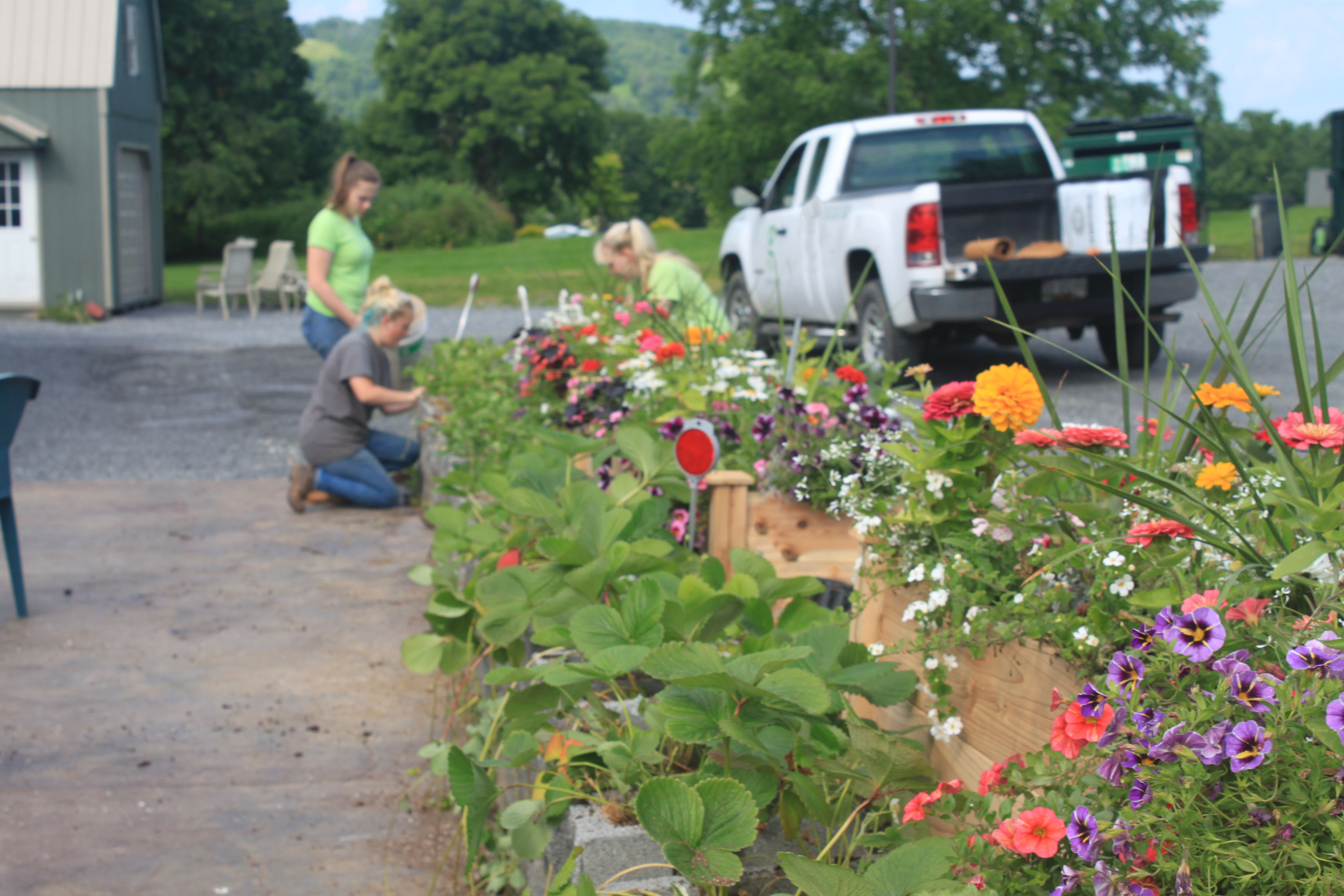 Greenscapes - Property Maintenance